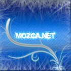 mozga-net